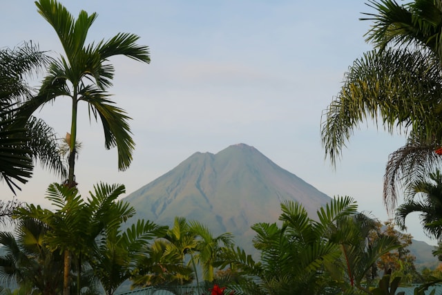 Trees in the foreground with a Volcano in the distance